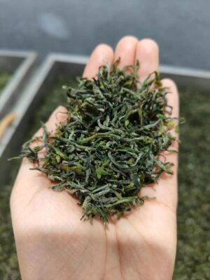 biluochun - Image 2